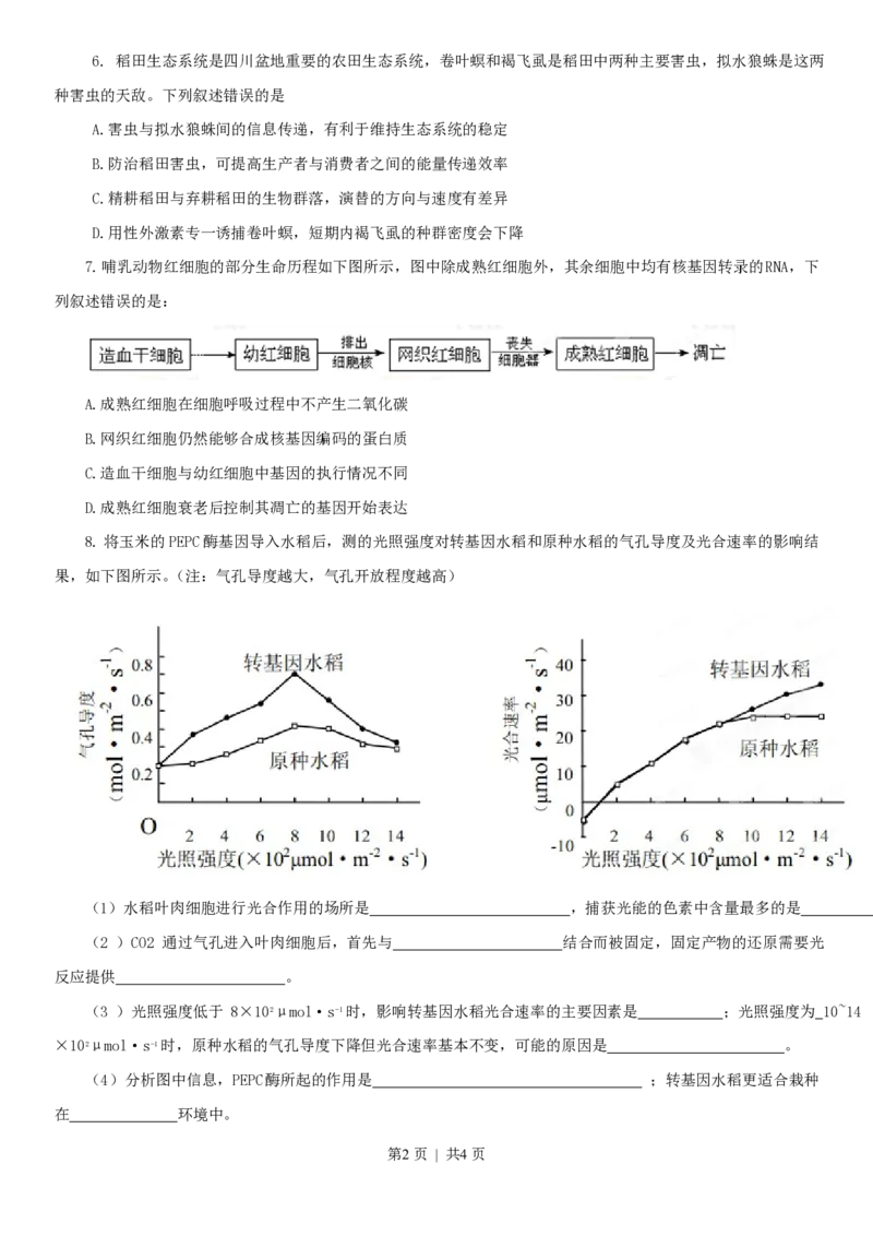 2013年高考生物试卷（四川）（空白卷）_生物历年高考真题_新&middot;PDF版2008-2025&middot;高考生物真题_生物（按年份分类）2008-2025_2013&middot;高考生物真题