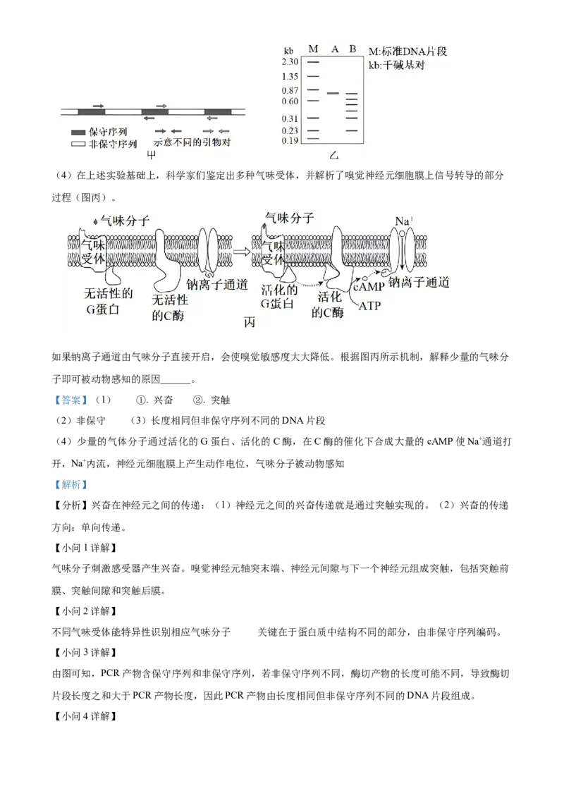 2024年北京高考真题生物试卷（解析版）_高考真题全网收集_生物学_2024年新高考北京卷生物高考真题解析（参考版）
