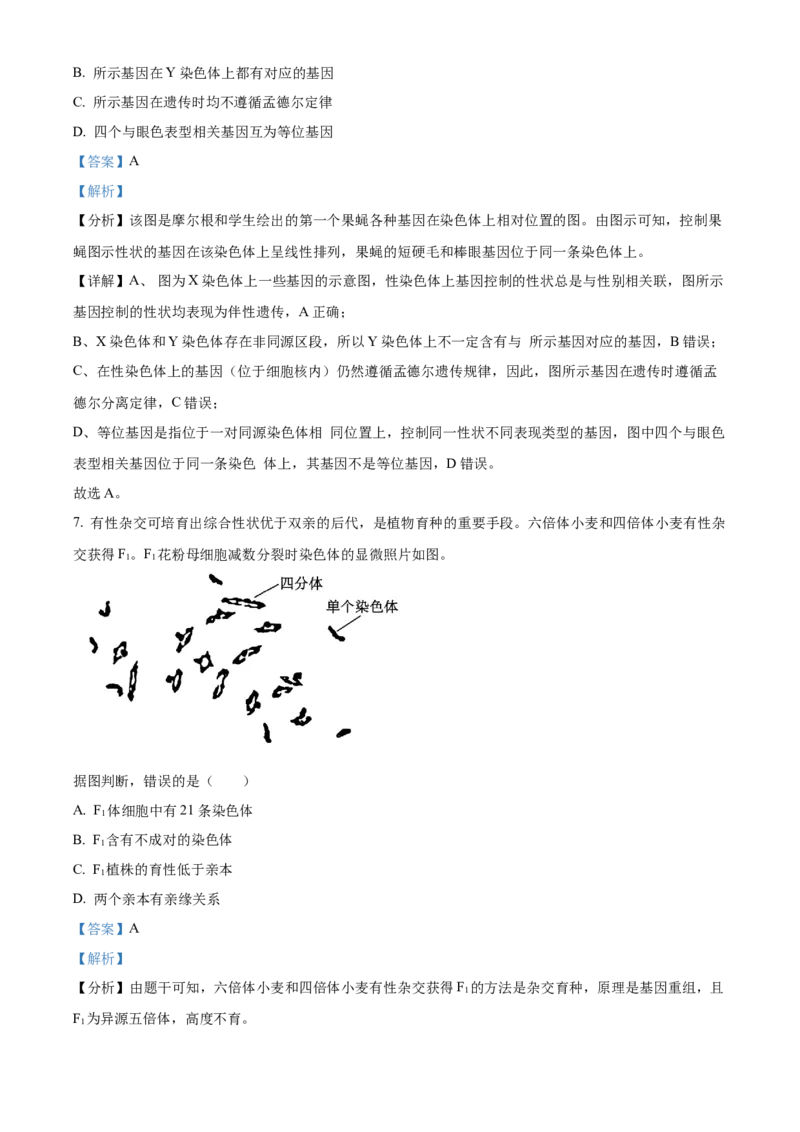 2024年北京高考真题生物试卷（解析版）_高考真题全网收集_生物学_2024年新高考北京卷生物高考真题解析（参考版）