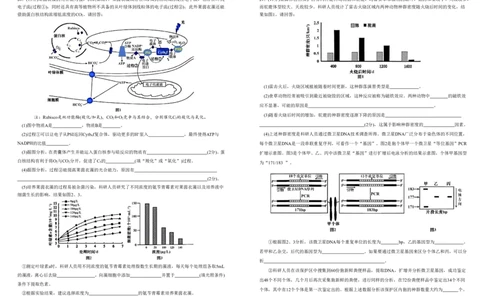安徽省合肥一中2025-2026学年高三上学期1月考试生物(1)_2026年1月_260116安徽省合肥一中2025-2026学年高三上学期1月考试（全科）