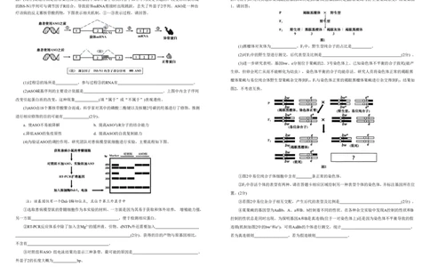 安徽省合肥一中2025-2026学年高三上学期1月考试生物(1)_2026年1月_260116安徽省合肥一中2025-2026学年高三上学期1月考试（全科）