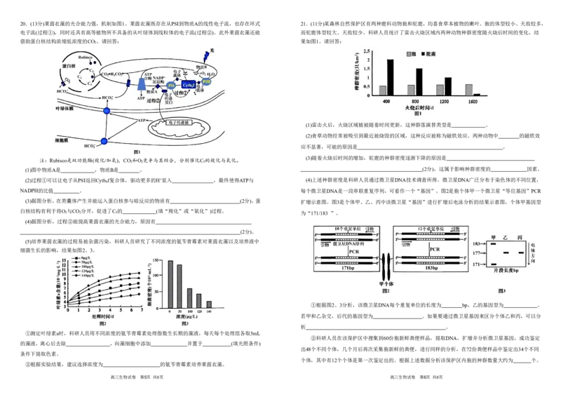安徽省合肥一中2025-2026学年高三上学期1月考试生物(1)_2026年1月_260116安徽省合肥一中2025-2026学年高三上学期1月考试（全科）