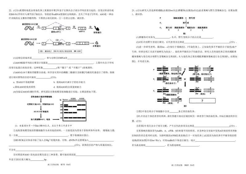 安徽省合肥一中2025-2026学年高三上学期1月考试生物(1)_2026年1月_260116安徽省合肥一中2025-2026学年高三上学期1月考试（全科）