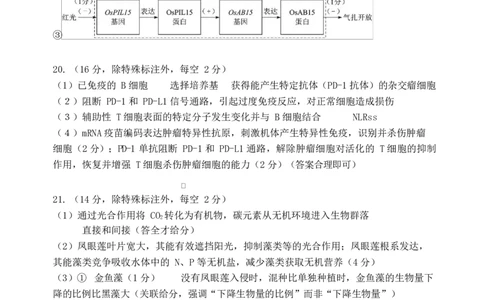 高三生物答案_2025年8月_250814湖北省腾云联盟2026届高三上学期开学考试（全科）_湖北省腾云联盟2026届高三上学期开学考试生物