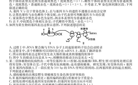 安徽省县域合作共享联盟2025-2026学年高三上学期1月期末质量检测-生物（A卷）(1)_2026年1月_260118安徽省县域合作共享联盟2025-2026学年高三上学期1月期末质量检测（26-X-353C）（全科）