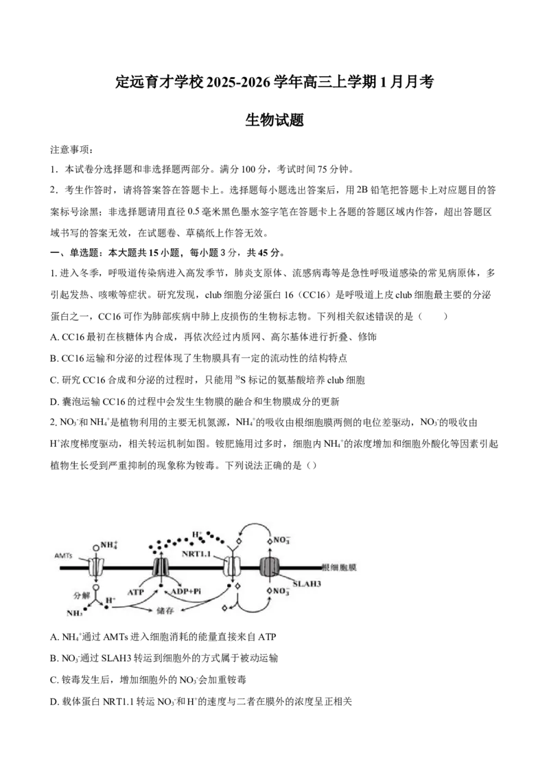 安徽省滁州市定远县育才学校2025-2026学年高三上学期1月月考生物试题（图片版，含答案）(1)_2026年1月_260126安徽省滁州市定远县育才学校2025-2026学年高三上学期1月月考（全科）