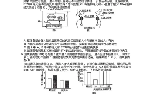 雅礼中学2026届高三月考试卷（五）生物试题含答案(1)_2026年1月_260115炎德&middot;英才大联考雅礼中学2026届高三月考试卷（五）（全科）