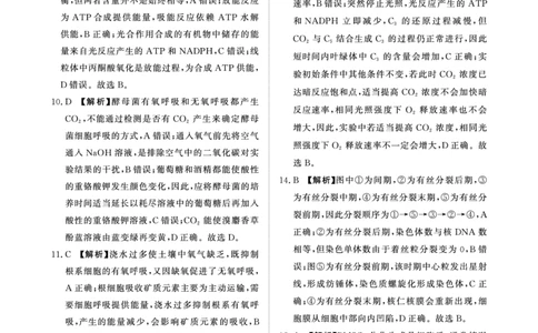 青桐鸣10月16-17日高三联考生物答案_2025年10月_251019河南省青桐鸣大联考2025-2026学年高三上学期10月联考_河南省青桐鸣大联考2025-2026学年高三上学期10月联考生物试卷（含答案）