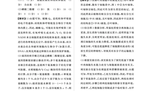 青桐鸣10月16-17日高三联考生物答案_2025年10月_251019河南省青桐鸣大联考2025-2026学年高三上学期10月联考_河南省青桐鸣大联考2025-2026学年高三上学期10月联考生物试卷（含答案）