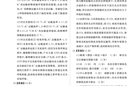 青桐鸣10月16-17日高三联考生物答案_2025年10月_251019河南省青桐鸣大联考2025-2026学年高三上学期10月联考_河南省青桐鸣大联考2025-2026学年高三上学期10月联考生物试卷（含答案）