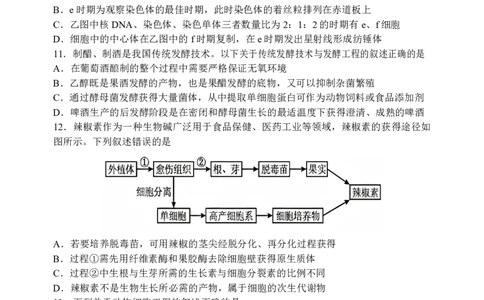 辽宁省丹东市2024-2025学年高二下学期期末教学质量监测生物试卷（图片版）_2025年8月_250801辽宁省丹东市2024-2025学年高二下学期期末教学质量监测（全科）