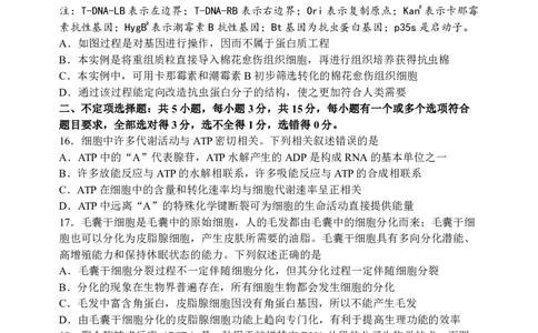 辽宁省丹东市2024-2025学年高二下学期期末教学质量监测生物试卷（图片版）_2025年8月_250801辽宁省丹东市2024-2025学年高二下学期期末教学质量监测（全科）