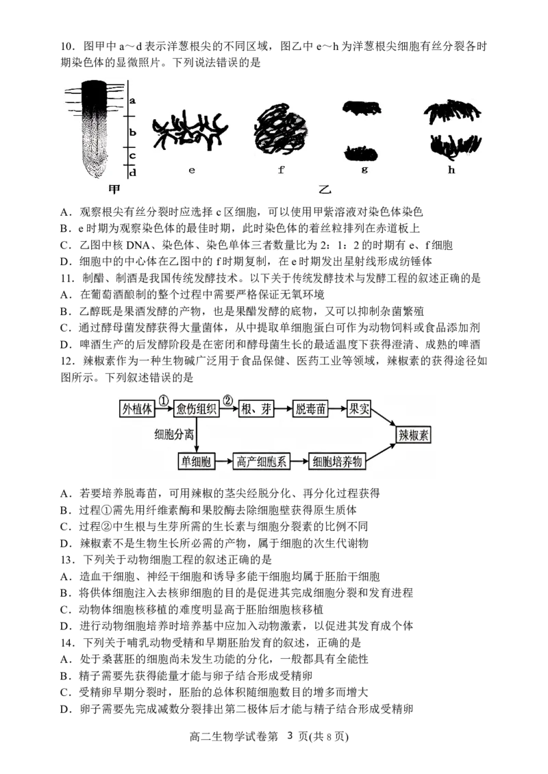 辽宁省丹东市2024-2025学年高二下学期期末教学质量监测生物试卷（图片版）_2025年8月_250801辽宁省丹东市2024-2025学年高二下学期期末教学质量监测（全科）