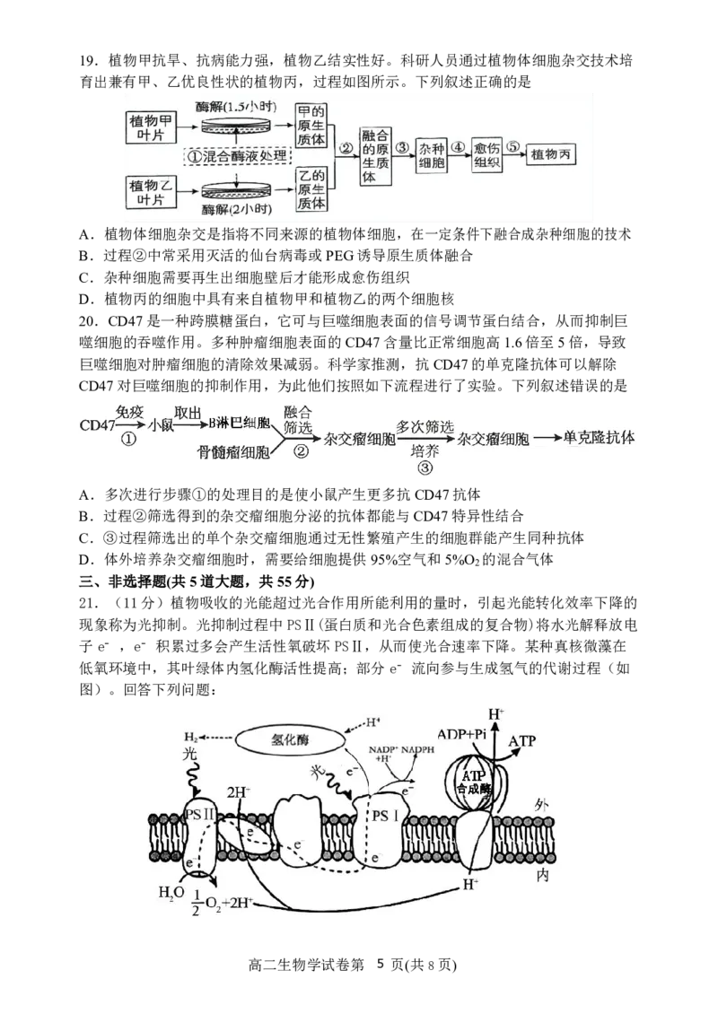 辽宁省丹东市2024-2025学年高二下学期期末教学质量监测生物试卷（图片版）_2025年8月_250801辽宁省丹东市2024-2025学年高二下学期期末教学质量监测（全科）