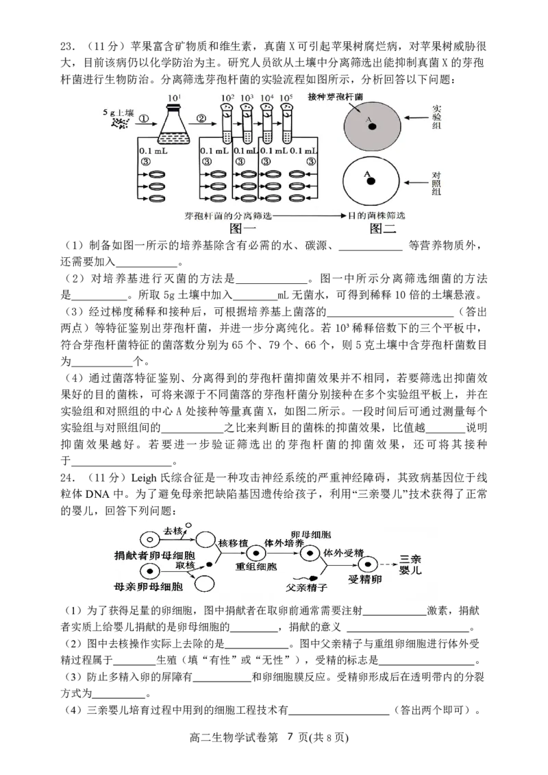 辽宁省丹东市2024-2025学年高二下学期期末教学质量监测生物试卷（图片版）_2025年8月_250801辽宁省丹东市2024-2025学年高二下学期期末教学质量监测（全科）