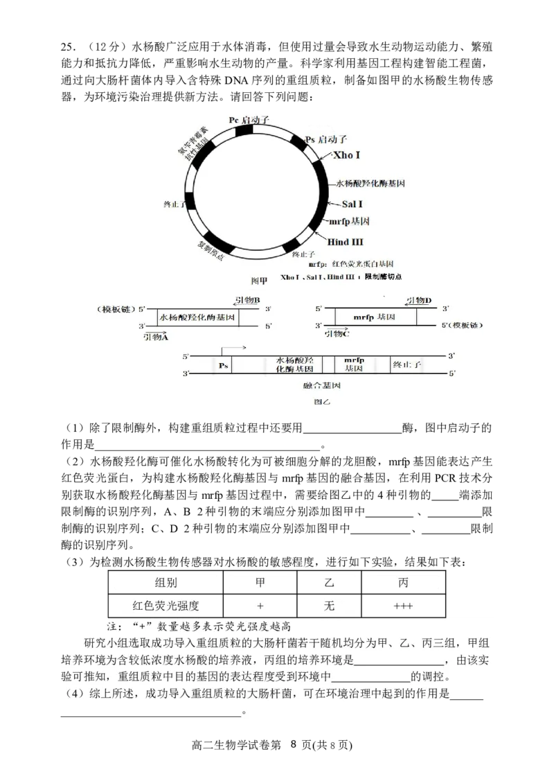 辽宁省丹东市2024-2025学年高二下学期期末教学质量监测生物试卷（图片版）_2025年8月_250801辽宁省丹东市2024-2025学年高二下学期期末教学质量监测（全科）