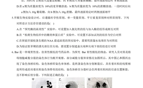 重庆市西南大学附属中学2025-2026学年高三上学期1月月考生物试题(1)_2026年1月_260111重庆市西南大学附属中学校2026届高三上学期1月定时检测（一诊）（全科）