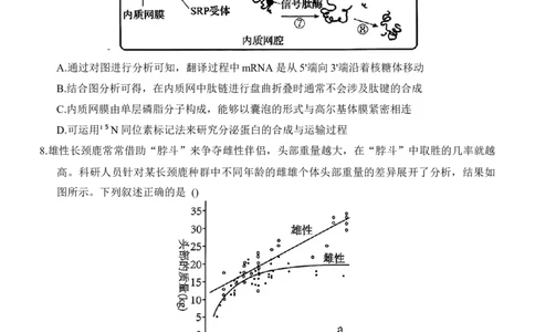 重庆市西南大学附属中学2025-2026学年高三上学期1月月考生物试题(1)_2026年1月_260111重庆市西南大学附属中学校2026届高三上学期1月定时检测（一诊）（全科）