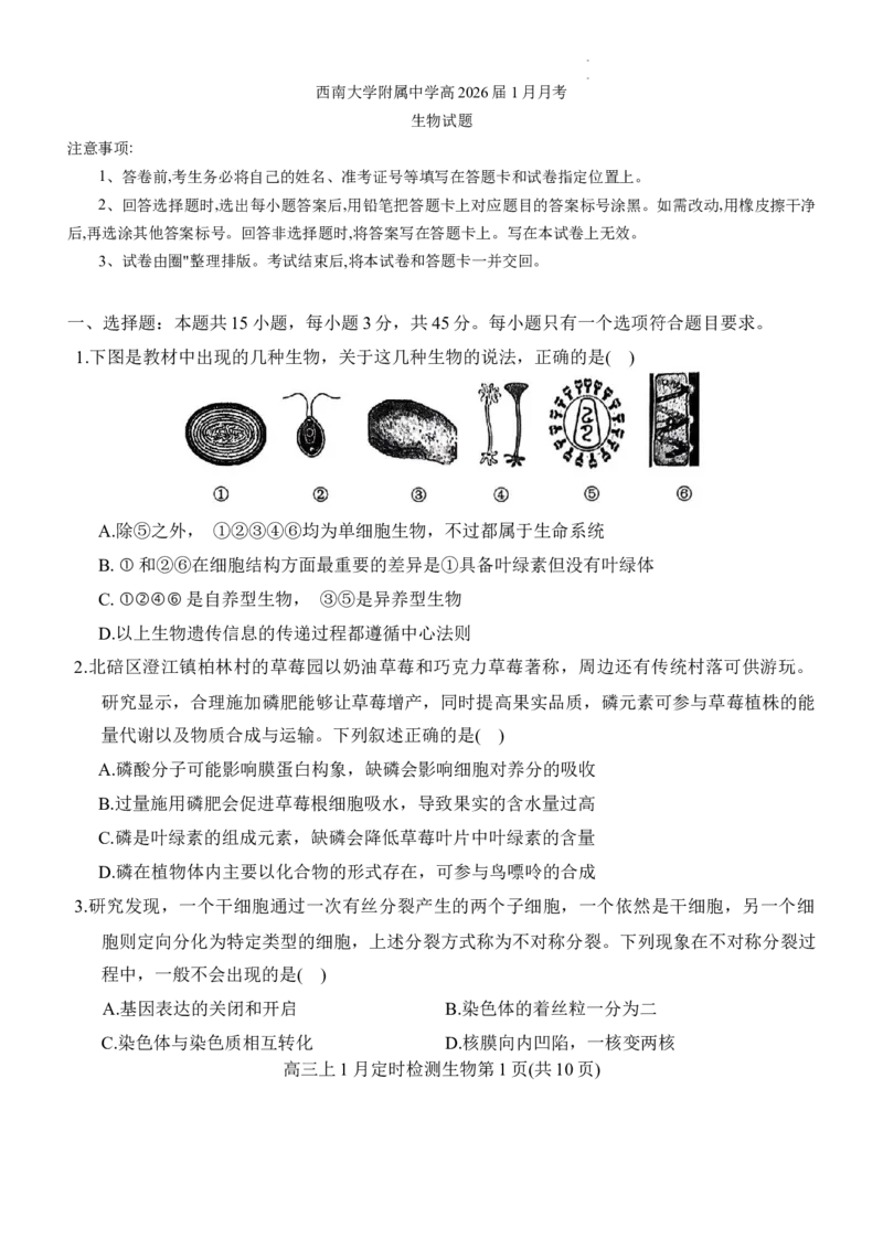 重庆市西南大学附属中学2025-2026学年高三上学期1月月考生物试题(1)_2026年1月_260111重庆市西南大学附属中学校2026届高三上学期1月定时检测（一诊）（全科）