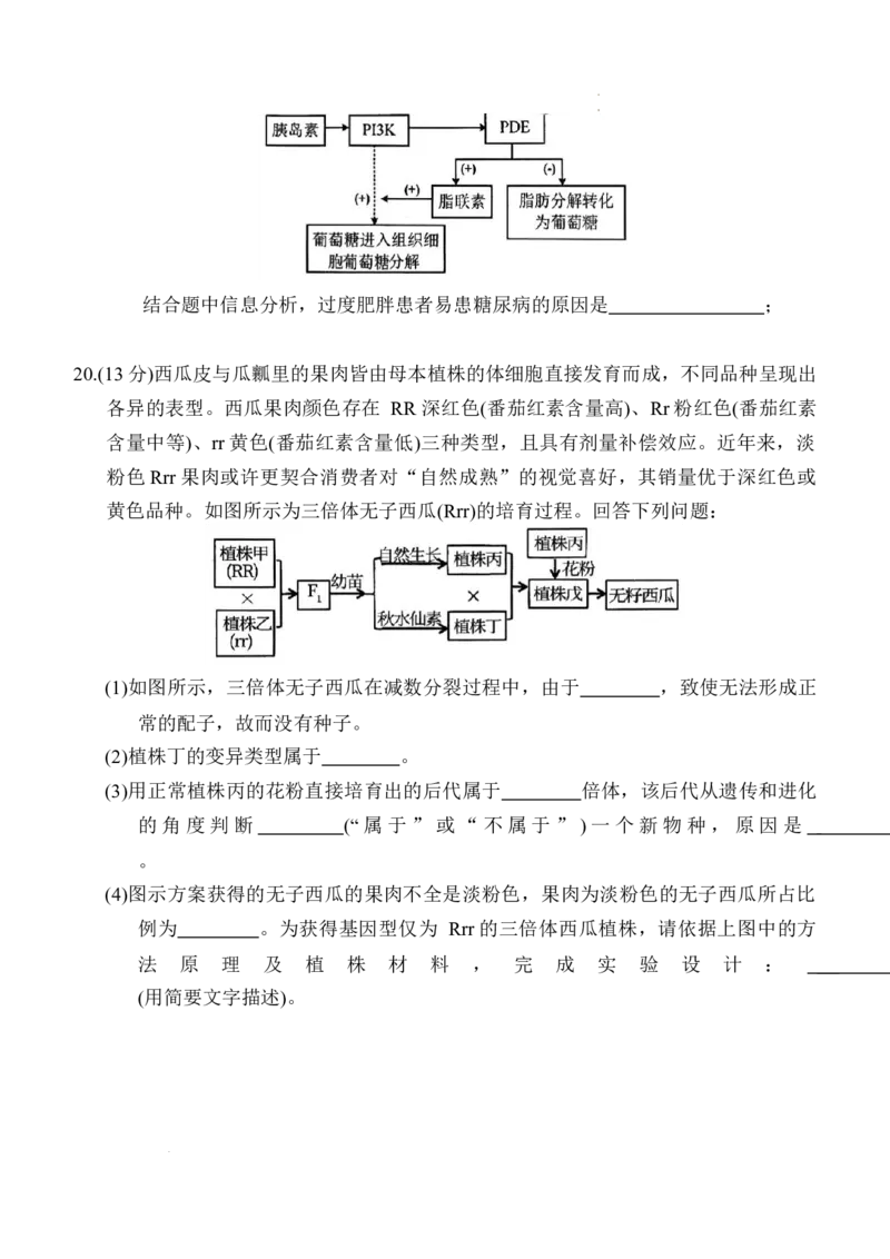 重庆市西南大学附属中学2025-2026学年高三上学期1月月考生物试题(1)_2026年1月_260111重庆市西南大学附属中学校2026届高三上学期1月定时检测（一诊）（全科）