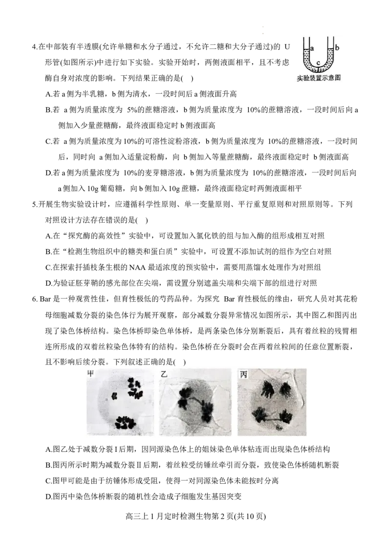 重庆市西南大学附属中学2025-2026学年高三上学期1月月考生物试题(1)_2026年1月_260111重庆市西南大学附属中学校2026届高三上学期1月定时检测（一诊）（全科）