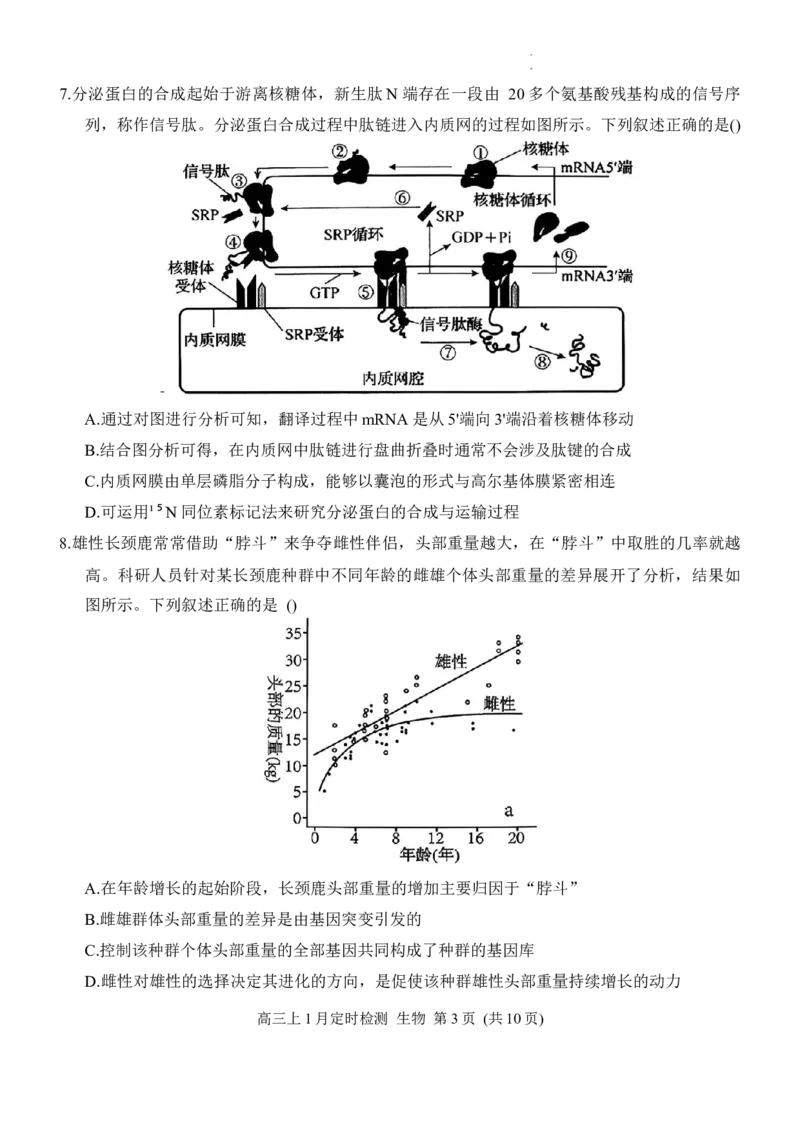 重庆市西南大学附属中学2025-2026学年高三上学期1月月考生物试题(1)_2026年1月_260111重庆市西南大学附属中学校2026届高三上学期1月定时检测（一诊）（全科）