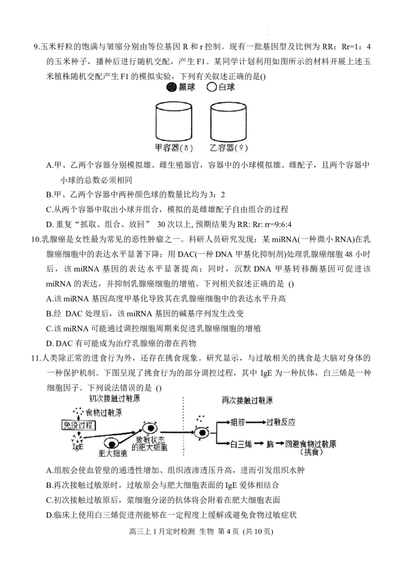 重庆市西南大学附属中学2025-2026学年高三上学期1月月考生物试题(1)_2026年1月_260111重庆市西南大学附属中学校2026届高三上学期1月定时检测（一诊）（全科）