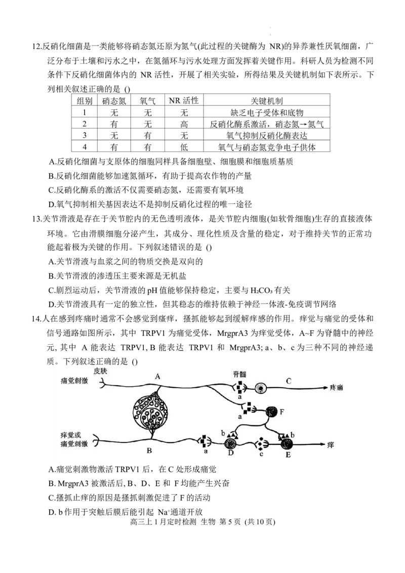 重庆市西南大学附属中学2025-2026学年高三上学期1月月考生物试题(1)_2026年1月_260111重庆市西南大学附属中学校2026届高三上学期1月定时检测（一诊）（全科）
