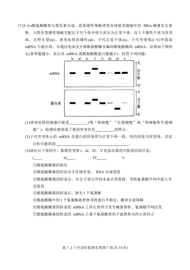 重庆市西南大学附属中学2025-2026学年高三上学期1月月考生物试题(1)_2026年1月_260111重庆市西南大学附属中学校2026届高三上学期1月定时检测（一诊）（全科）