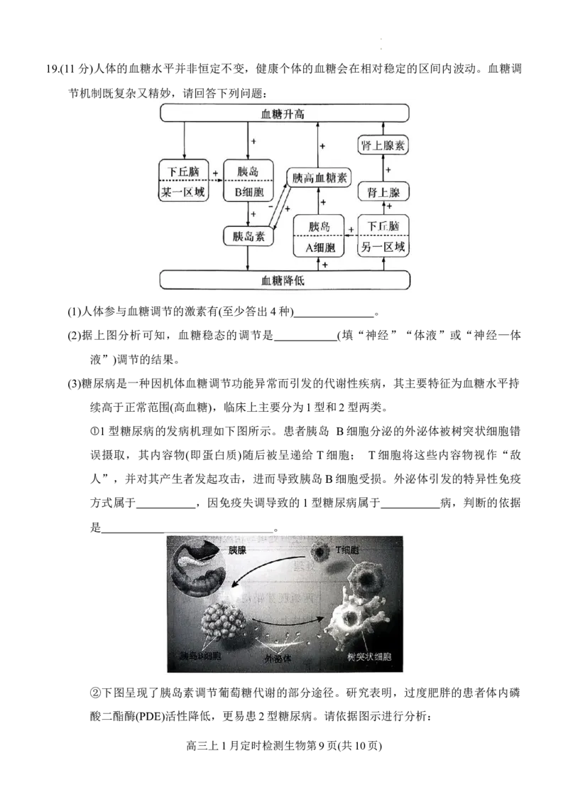重庆市西南大学附属中学2025-2026学年高三上学期1月月考生物试题(1)_2026年1月_260111重庆市西南大学附属中学校2026届高三上学期1月定时检测（一诊）（全科）