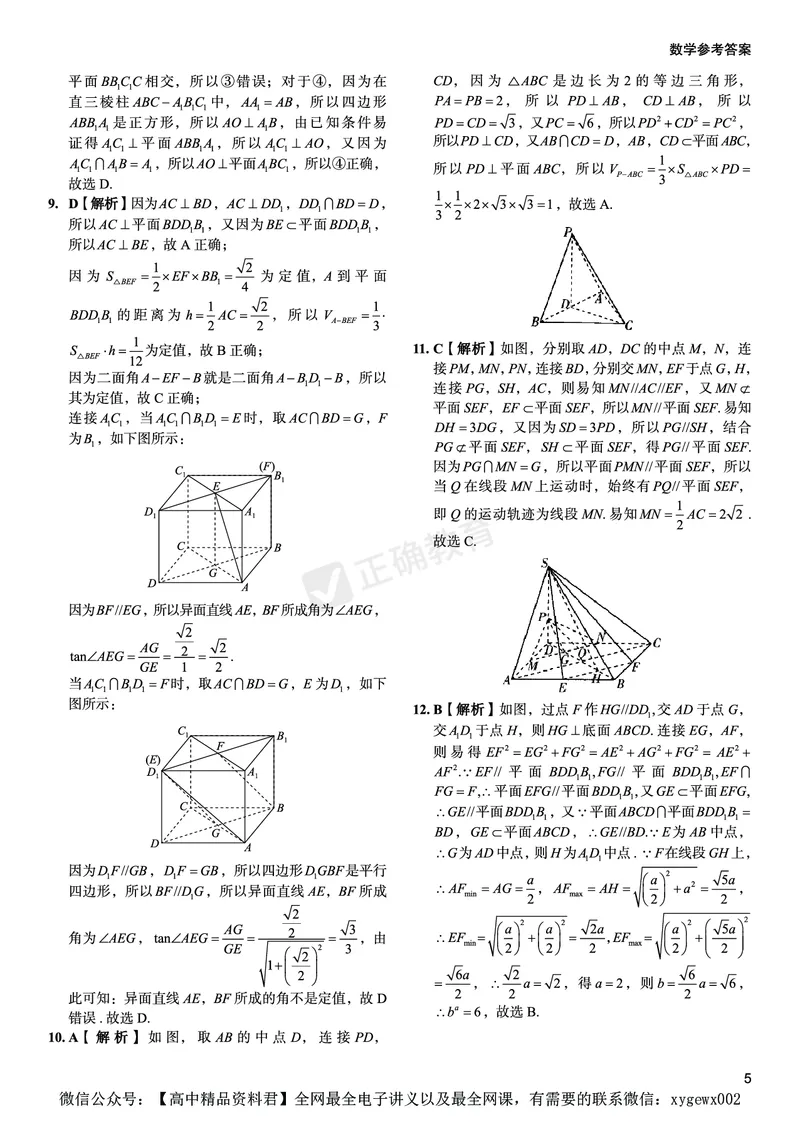 全国卷《正确小卷》2024总复习数学质检卷2答案_2024高考押题卷_72024正确教育全系列_2024年正确小卷全系列_（全国版）2024《正确小卷&middot;复习质检卷》（九科全）各两套