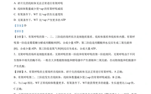 精品解析：2024年新课标广东卷高考生物真题试卷（解析版）_高考真题全网收集_生物学_精品解析：2024年新高考广东卷生物高考真题解析（参考版）