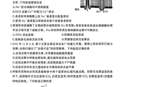 湖北省黄冈市2025-2026学年高三上学期1月期末考试生物（试卷答案）生物(1)_2026年1月_260108湖北省黄冈市2025-2026学年高三上学期1月期末（全科）