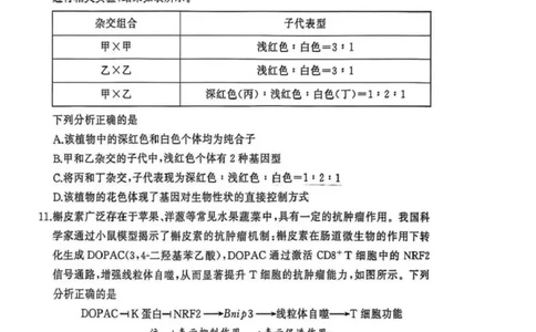 湖北省黄冈市2025-2026学年高三上学期1月期末考试生物（试卷答案）生物(1)_2026年1月_260108湖北省黄冈市2025-2026学年高三上学期1月期末（全科）