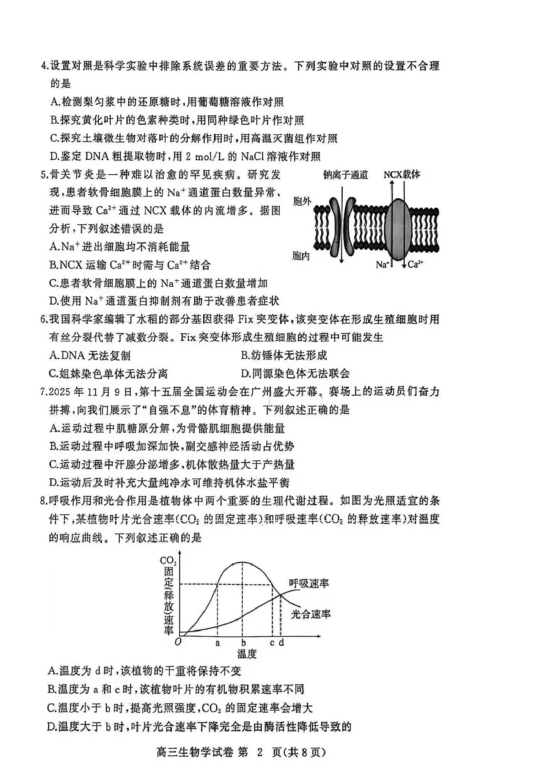 湖北省黄冈市2025-2026学年高三上学期1月期末考试生物（试卷答案）生物(1)_2026年1月_260108湖北省黄冈市2025-2026学年高三上学期1月期末（全科）