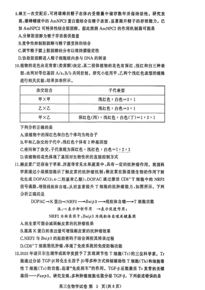 湖北省黄冈市2025-2026学年高三上学期1月期末考试生物（试卷答案）生物(1)_2026年1月_260108湖北省黄冈市2025-2026学年高三上学期1月期末（全科）