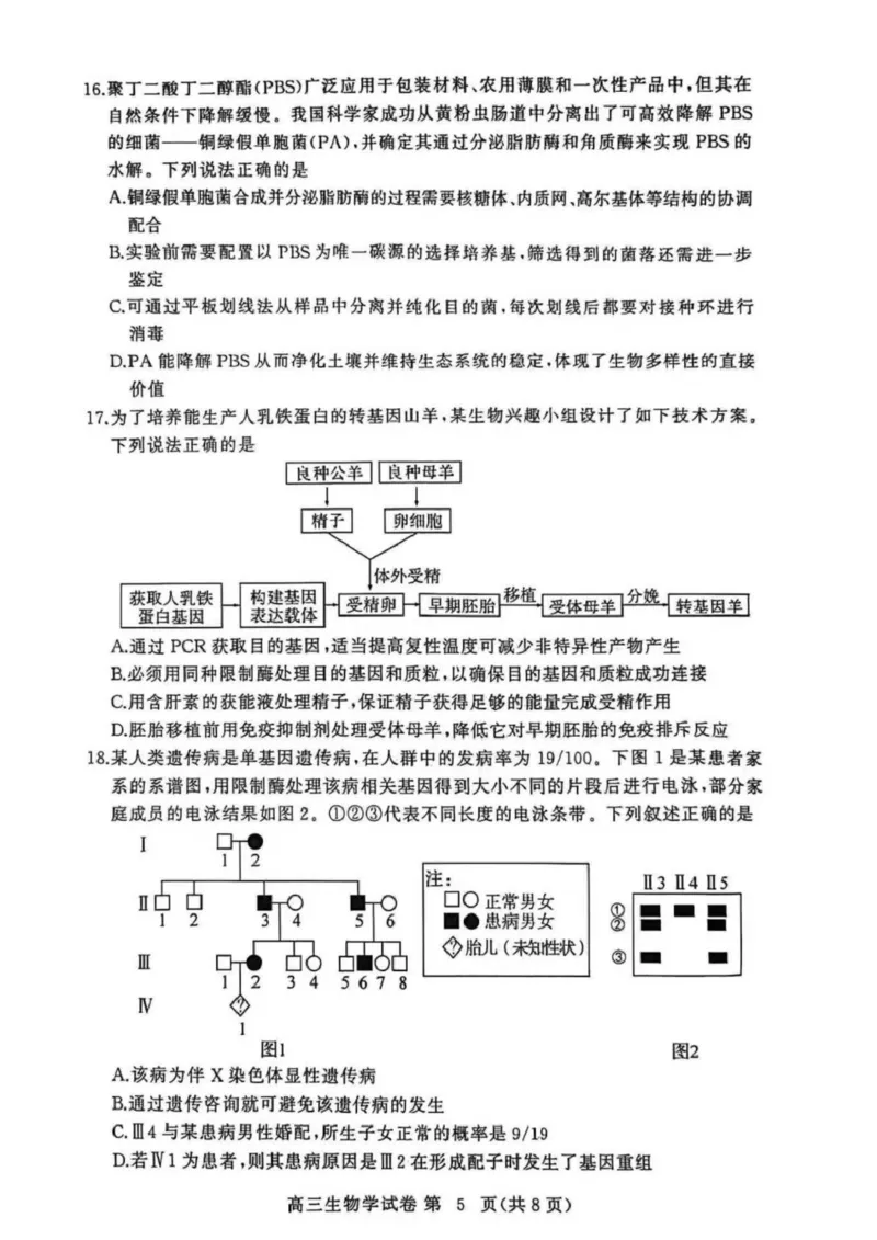 湖北省黄冈市2025-2026学年高三上学期1月期末考试生物（试卷答案）生物(1)_2026年1月_260108湖北省黄冈市2025-2026学年高三上学期1月期末（全科）