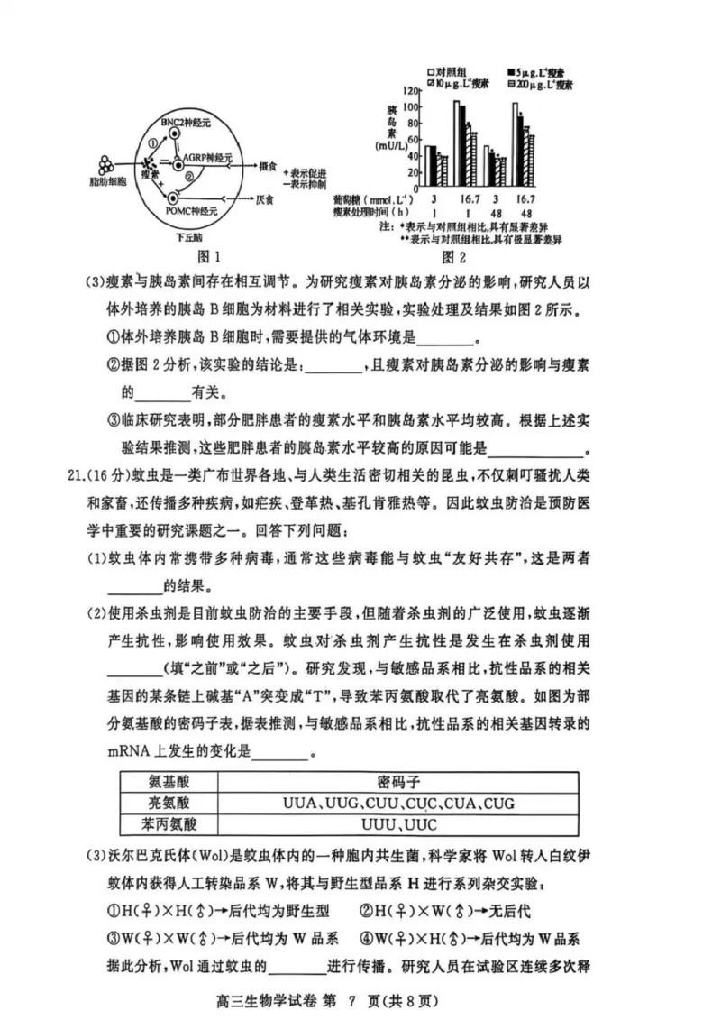 湖北省黄冈市2025-2026学年高三上学期1月期末考试生物（试卷答案）生物(1)_2026年1月_260108湖北省黄冈市2025-2026学年高三上学期1月期末（全科）