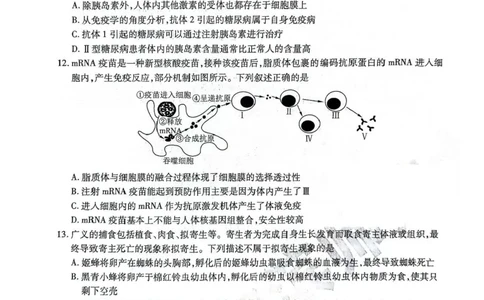 黑龙江省哈尔滨师范大学附属中学2024-2025学年高三下学期5月第四次模拟考试生物试题+答案_2025年5月_250531黑龙江省哈尔滨市哈尔滨师范大学附属中学2025届高三第四次模拟考试（全科）
