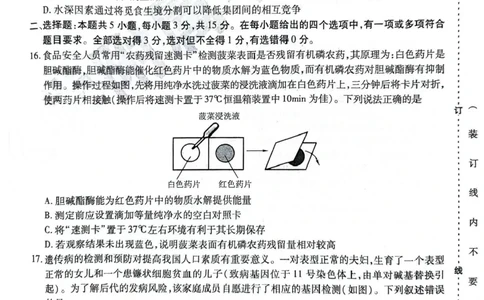 黑龙江省哈尔滨师范大学附属中学2024-2025学年高三下学期5月第四次模拟考试生物试题+答案_2025年5月_250531黑龙江省哈尔滨市哈尔滨师范大学附属中学2025届高三第四次模拟考试（全科）