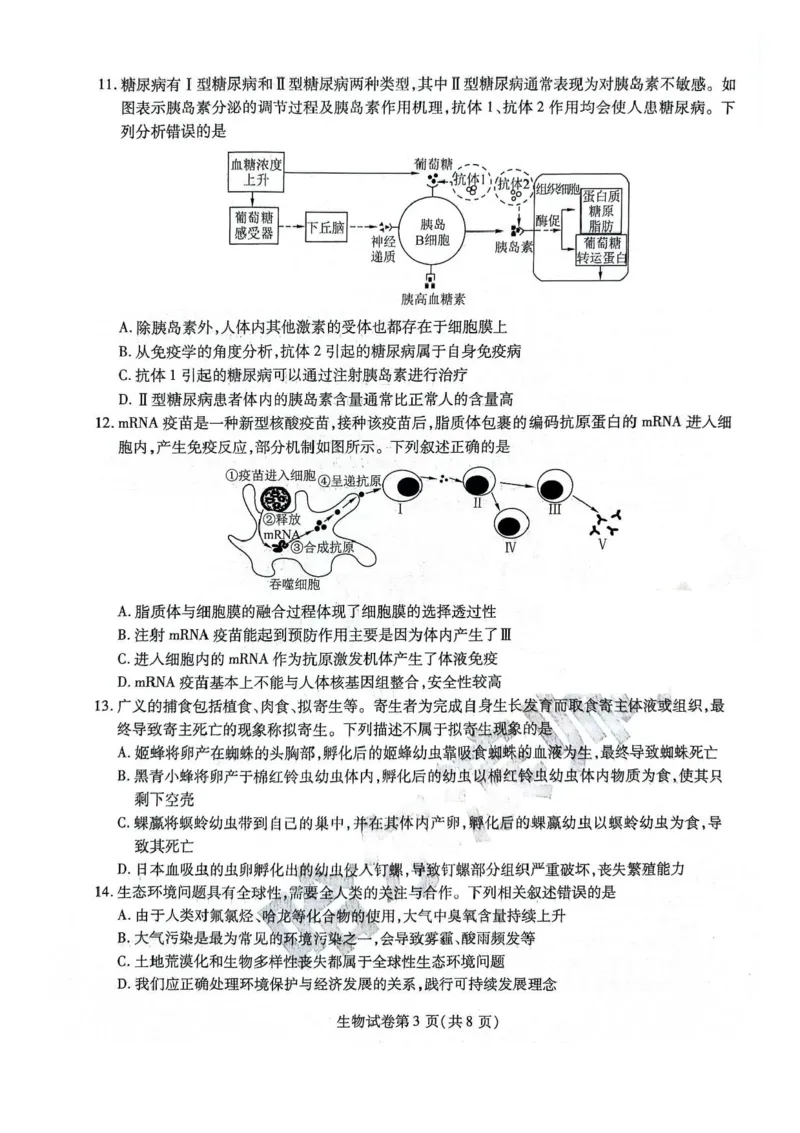 黑龙江省哈尔滨师范大学附属中学2024-2025学年高三下学期5月第四次模拟考试生物试题+答案_2025年5月_250531黑龙江省哈尔滨市哈尔滨师范大学附属中学2025届高三第四次模拟考试（全科）