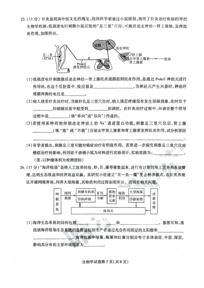 黑龙江省哈尔滨师范大学附属中学2024-2025学年高三下学期5月第四次模拟考试生物试题+答案_2025年5月_250531黑龙江省哈尔滨市哈尔滨师范大学附属中学2025届高三第四次模拟考试（全科）