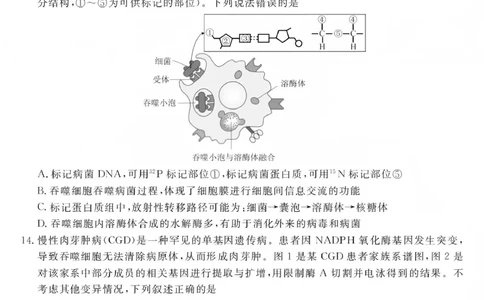 江西创智协作体2026年元月高三联合调研考试生物(1)_2026年1月_260116江西创智协作体2026年元月高三联合调研考试