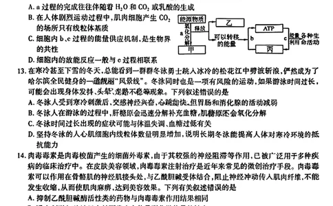 2024届东北三省三校高三下学期第四次联合模拟考试-生物(1)_2024年6月(1)_026月合集_2024届东北三省三校高三下学期第四次联合模拟考试全科