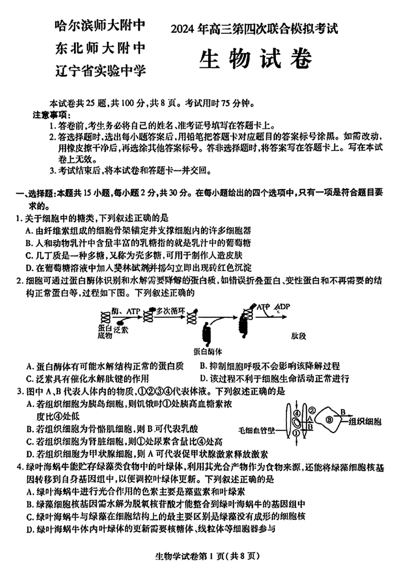 2024届东北三省三校高三下学期第四次联合模拟考试-生物(1)_2024年6月(1)_026月合集_2024届东北三省三校高三下学期第四次联合模拟考试全科