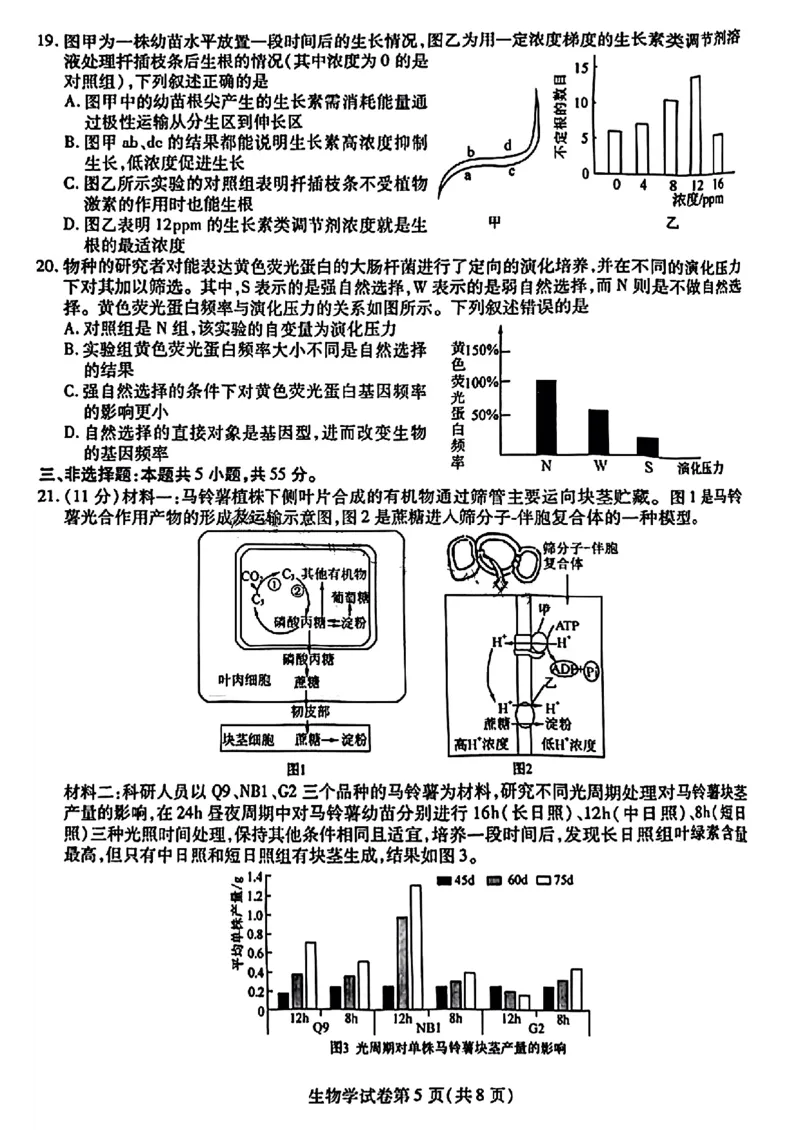 2024届东北三省三校高三下学期第四次联合模拟考试-生物(1)_2024年6月(1)_026月合集_2024届东北三省三校高三下学期第四次联合模拟考试全科