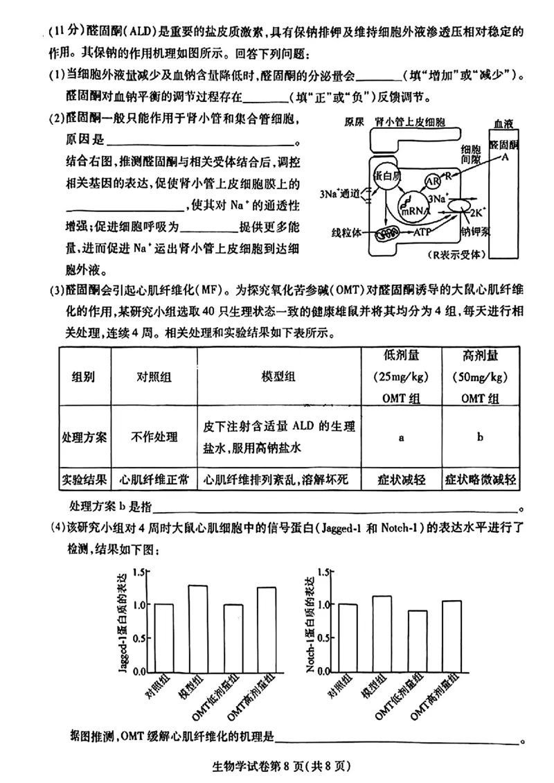 2024届东北三省三校高三下学期第四次联合模拟考试-生物(1)_2024年6月(1)_026月合集_2024届东北三省三校高三下学期第四次联合模拟考试全科