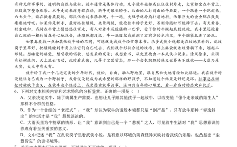 新课标Ⅰ语文-答案-p_近10年高考真题汇编（必刷）_2024年高考真题_高考真题（截止6.29）_新课标全国Ⅰ卷（语数英）
