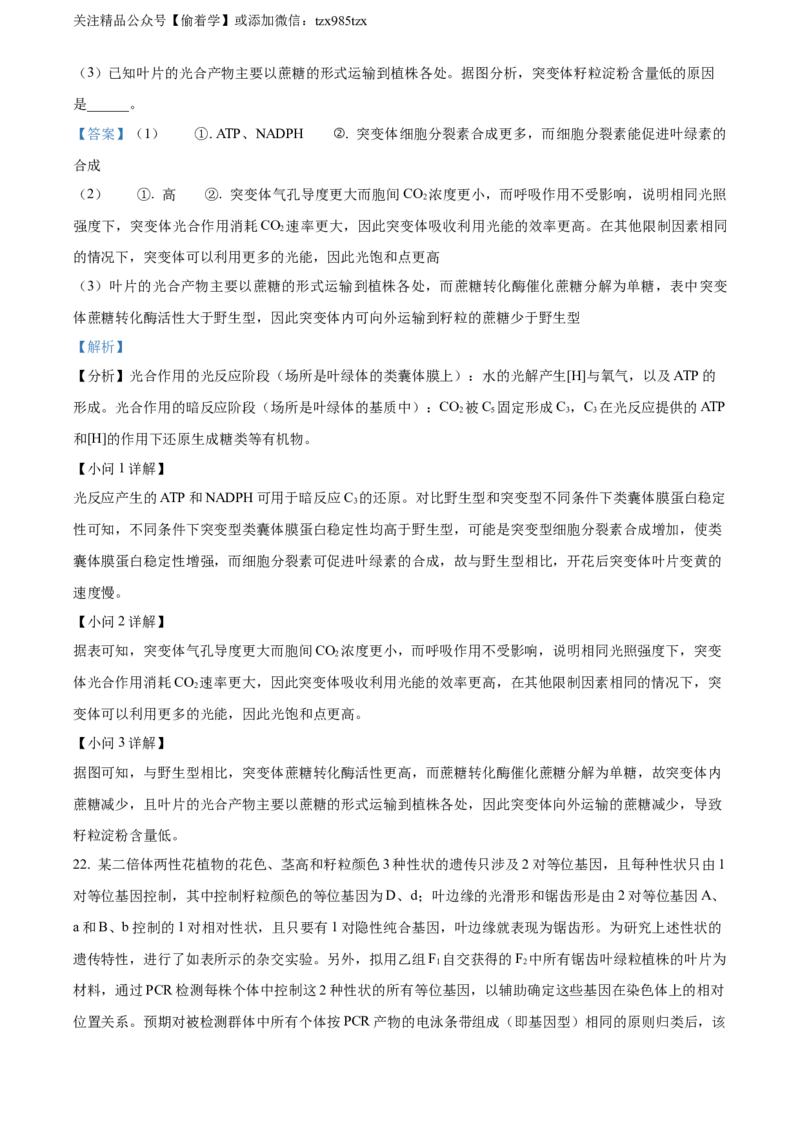 精品解析：2024年新课标高考真题山东卷生物（解析版）_高考真题全网收集_生物学_2024年新高考山东卷生物高考真题解析（参考版）