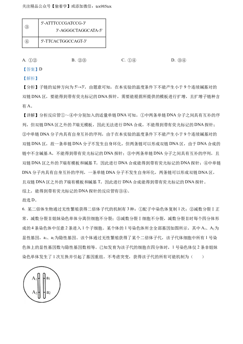 精品解析：2024年新课标高考真题山东卷生物（解析版）_高考真题全网收集_生物学_2024年新高考山东卷生物高考真题解析（参考版）